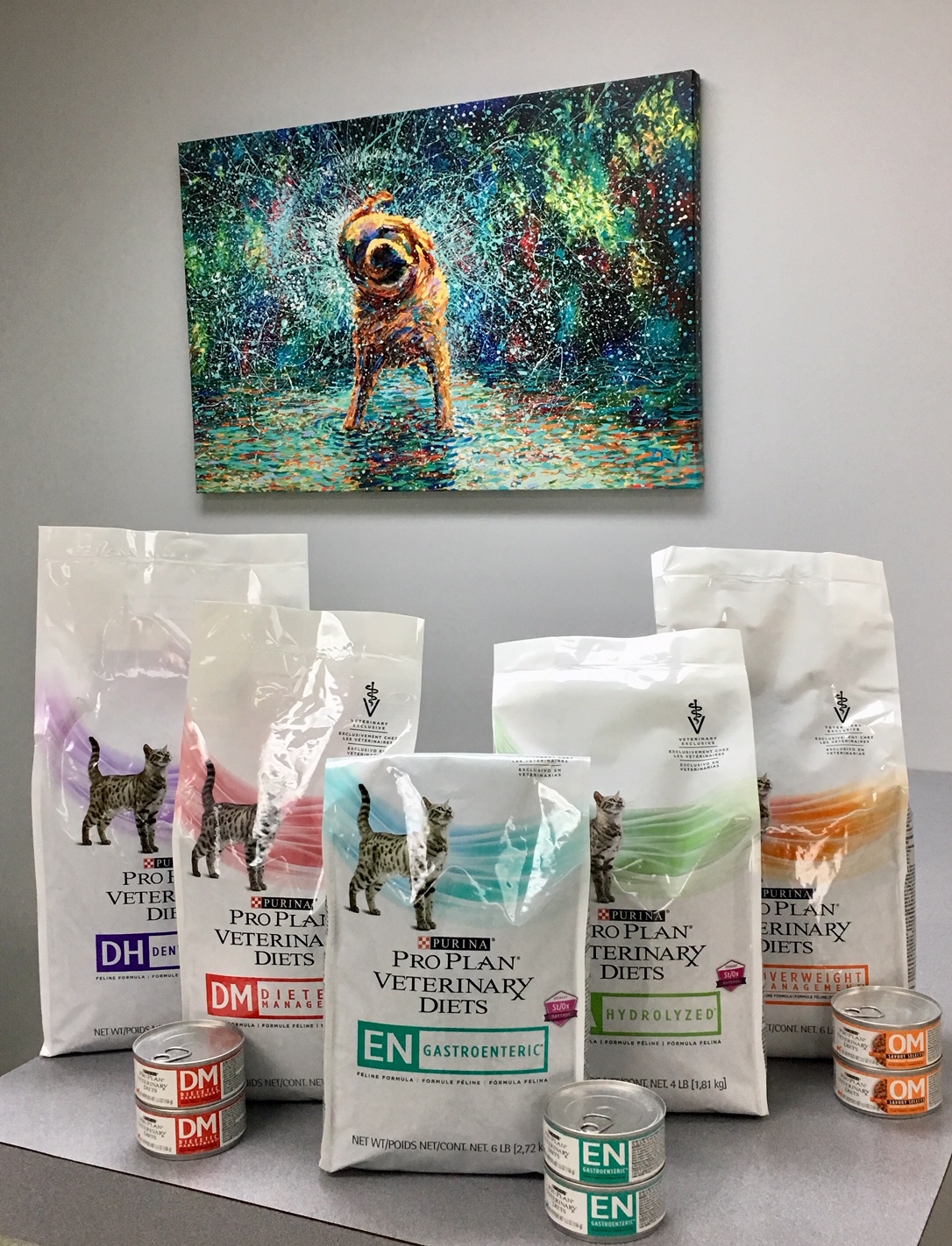 pet food picture