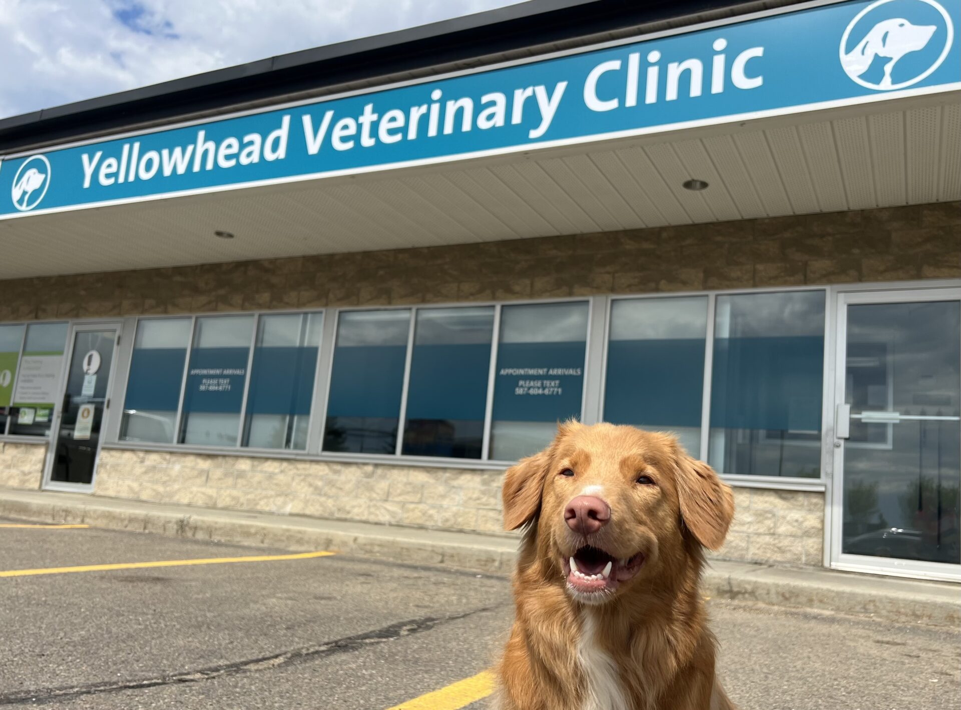 Clinic banner 2023 - Copy